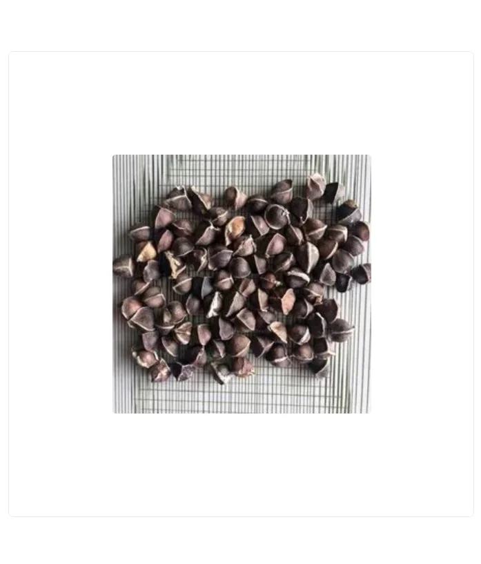 Moringa Oleifera Seeds