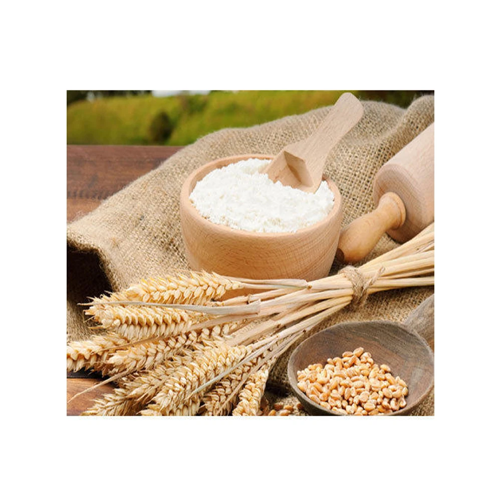 High Quality Flour Refined Available Wholesale Price