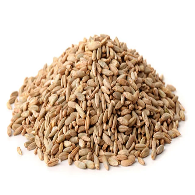 Barley for Malt, Barley Feed, Malted Barley Animal feed Pearl Barley/Barley grain