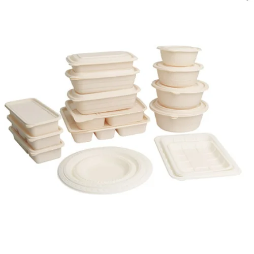 Wholesale Disposable Food Packaging Container Biodegradable Cornstarch Food Container and Plates