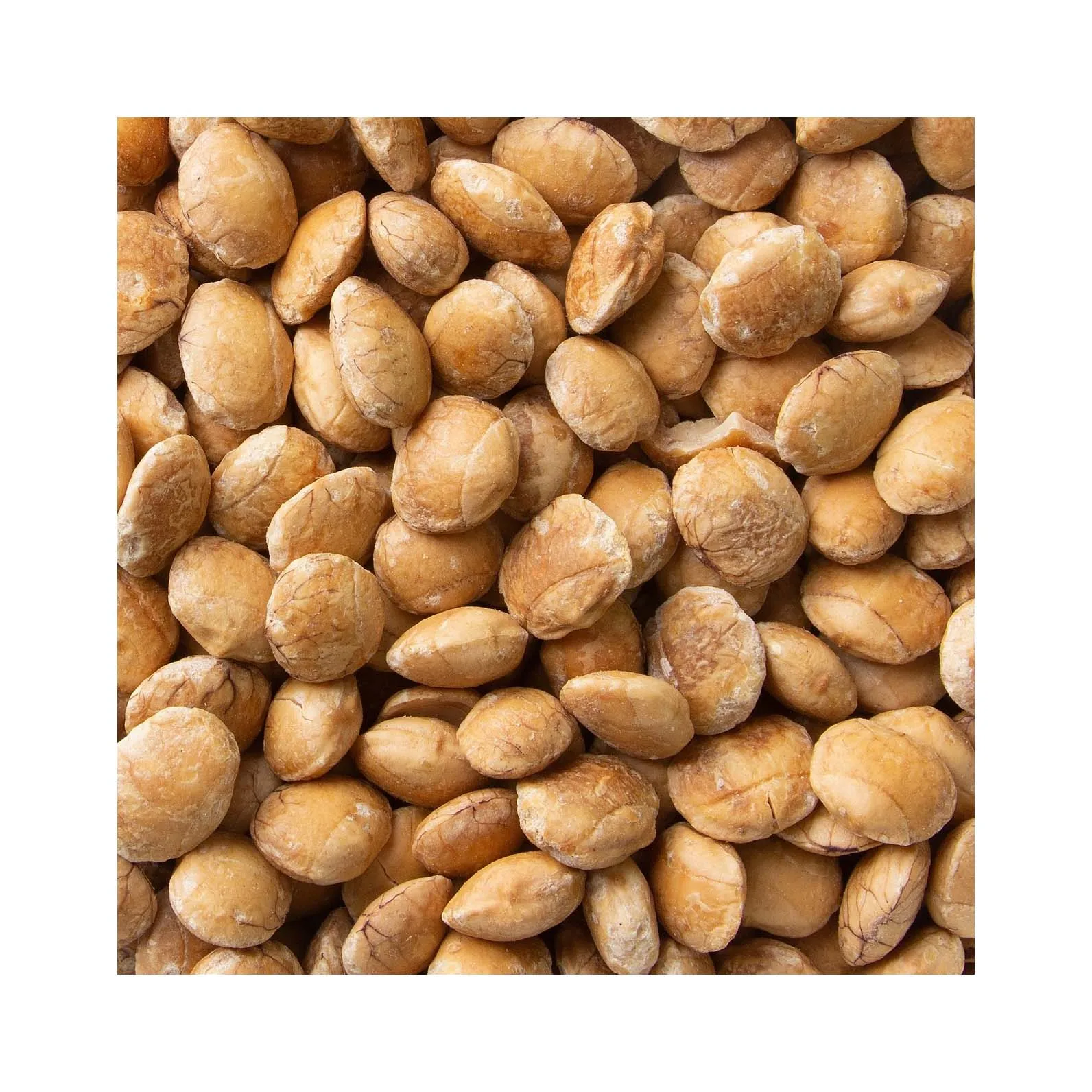 Sacha inchi de primera calidad Custom sacha inchi nuts pili nut packaging bag stand up zipper bag for food