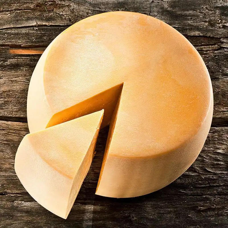 Analog Mozzarella Cheese For Pizza Low price
