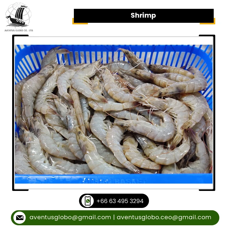 New Arrival Highest Quality Highly Nutritious BQF Freezing Process Seafood Frozen Shrimp Fish for Sale