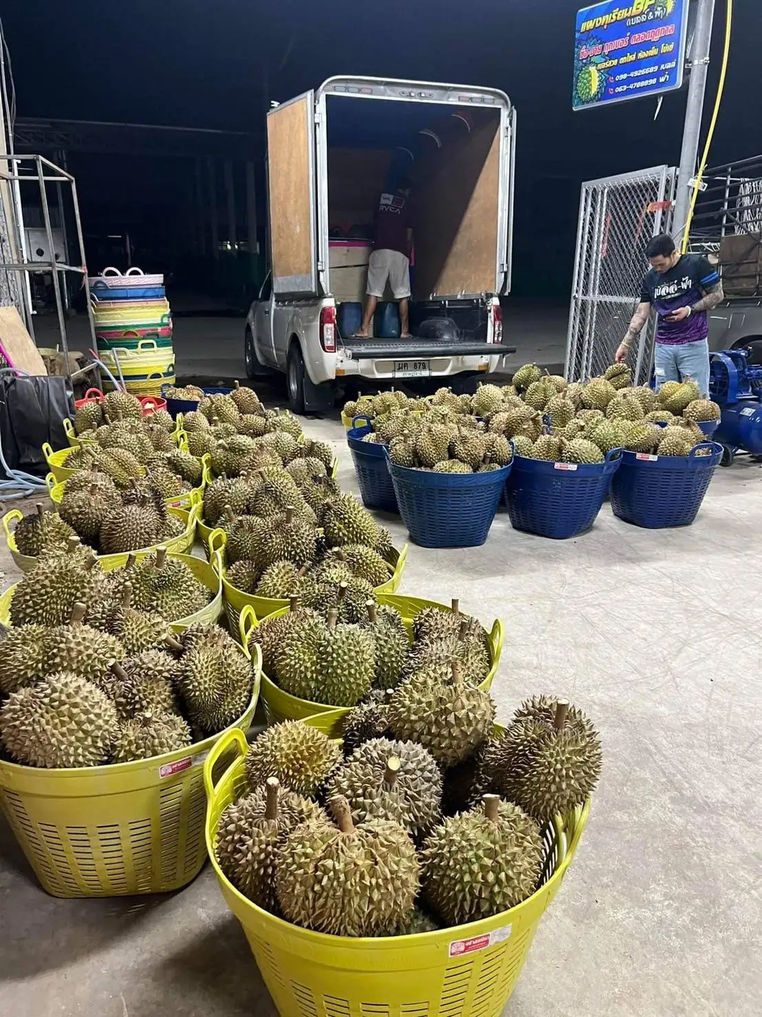 Premium Fresh Durian from Thailand 100% Natural Premium Grade of Durian Mon Thong  with Best Taste