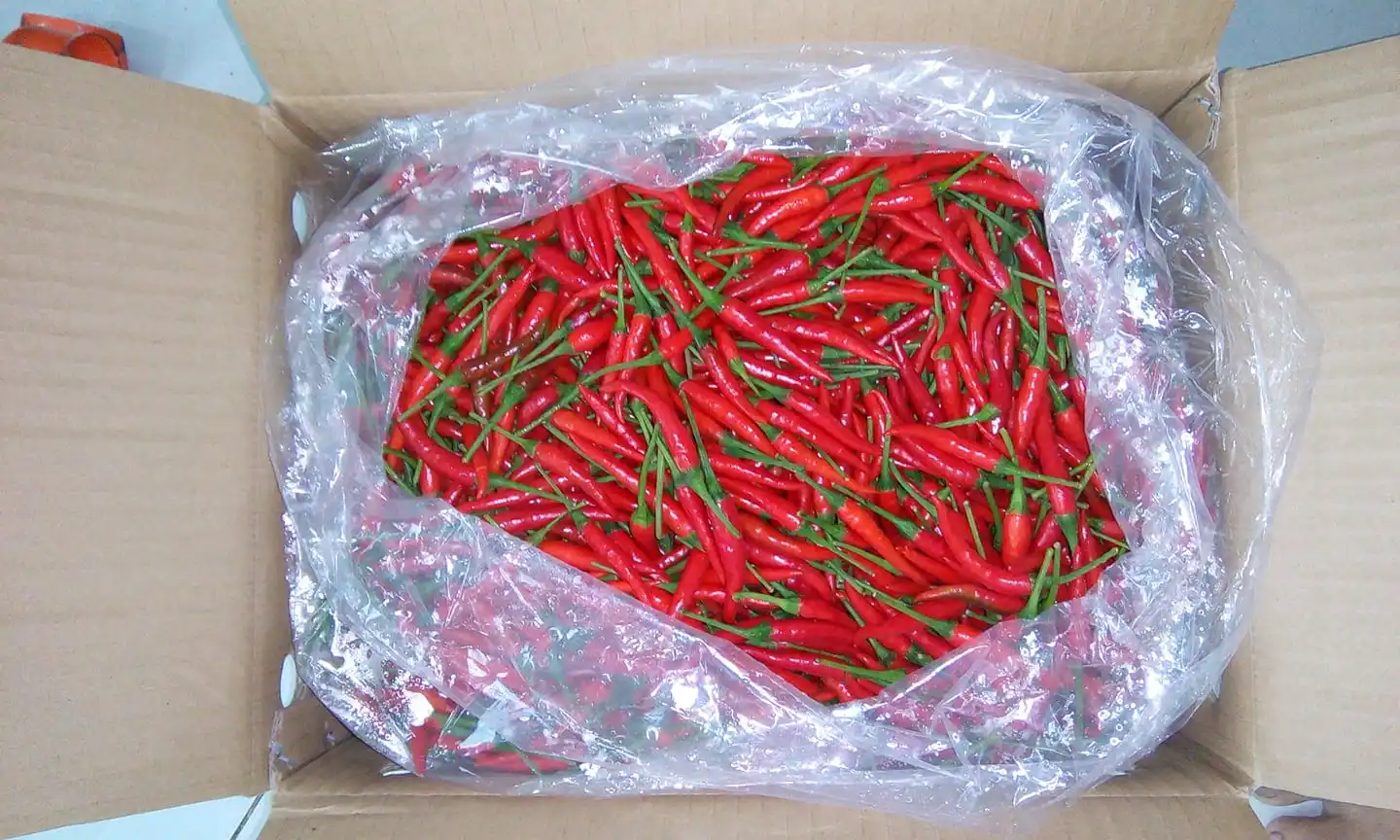 100% natural fresh chilli / Vietnam chilli