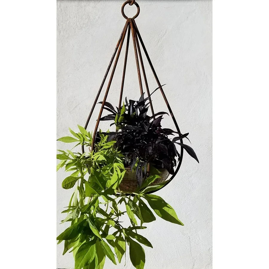 Hanging Metal Planter Flower Bucket Hanging Plant Pot Agricultural Greenhouse
