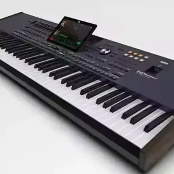 Korgs Pa5X 88 Professional Arranger Keyboard
