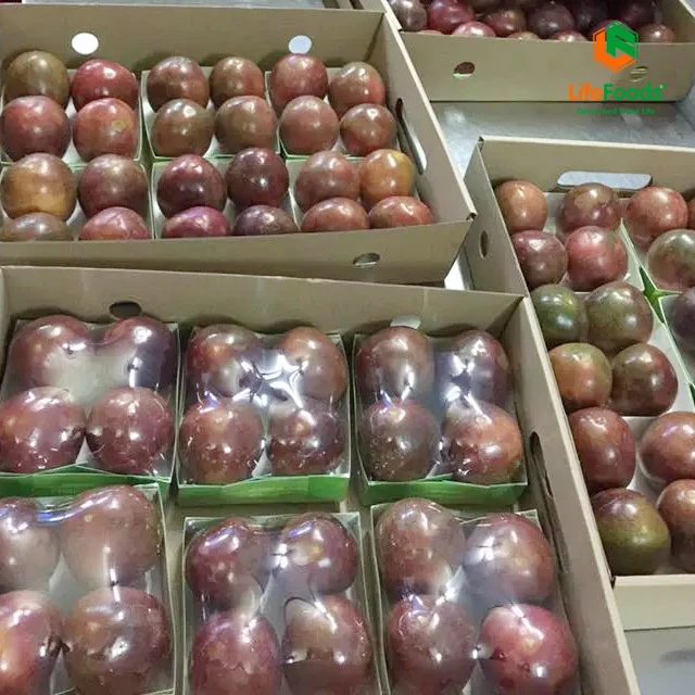 Type maturity storage standard competitive good products fresh fruit Fresh Passion Fruit Lifefoods from Vietnam