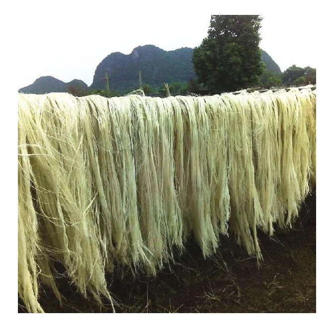 100% Natural Sisal Fiber /Factory Supply Raw Sisal Fiber Sisal Fiber Rope