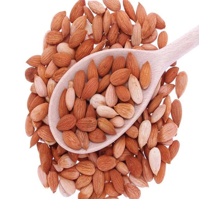 OEM services Bitter Apricots Kernels Factory rate in Hot Price