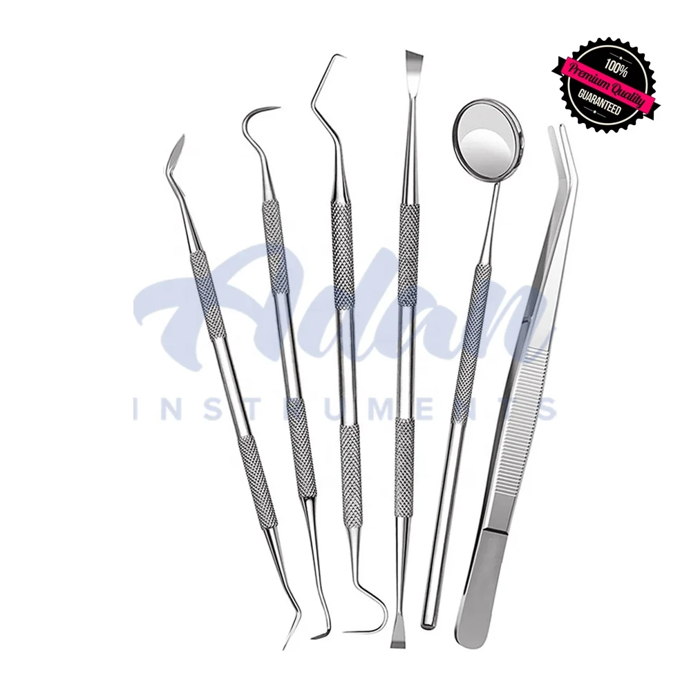 Wholesale Factory Prices 6 Pieces Dental Examination Kit of Dental Mirrors, Scalers, Forceps, scrapers in Carry Case