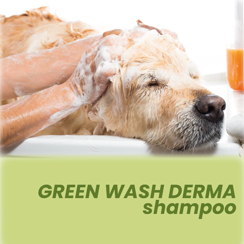 Top quality made in Italy with clay formulation GREEN WASH DERMA natural shampoo for all types of dogs 5L