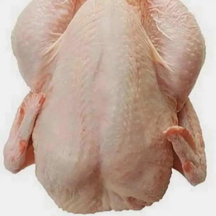 Top Standard Frozen Whole Chicken For Sale Halal Frozen Chicken Parts Wholesale