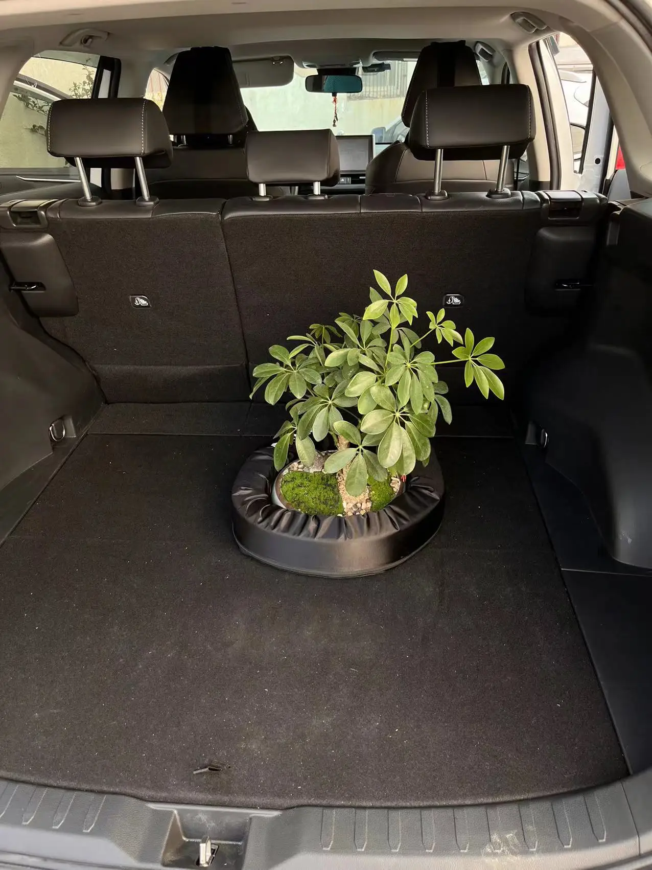 Adjustable & Flexible Car Trunk Foam Positioner Organizer, Non-slip Trunk Cushion Lifter