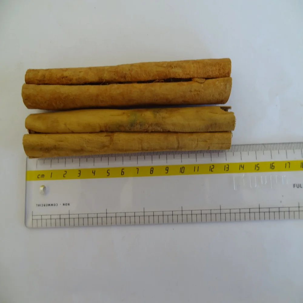 cinna stick 1000.jpg