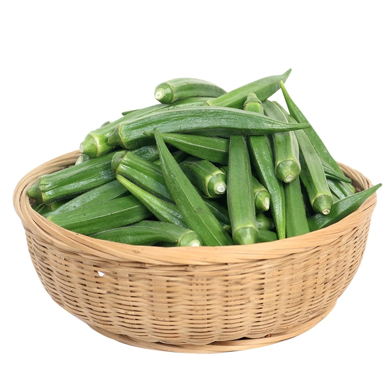 Wholesale fresh okra/ dried okra