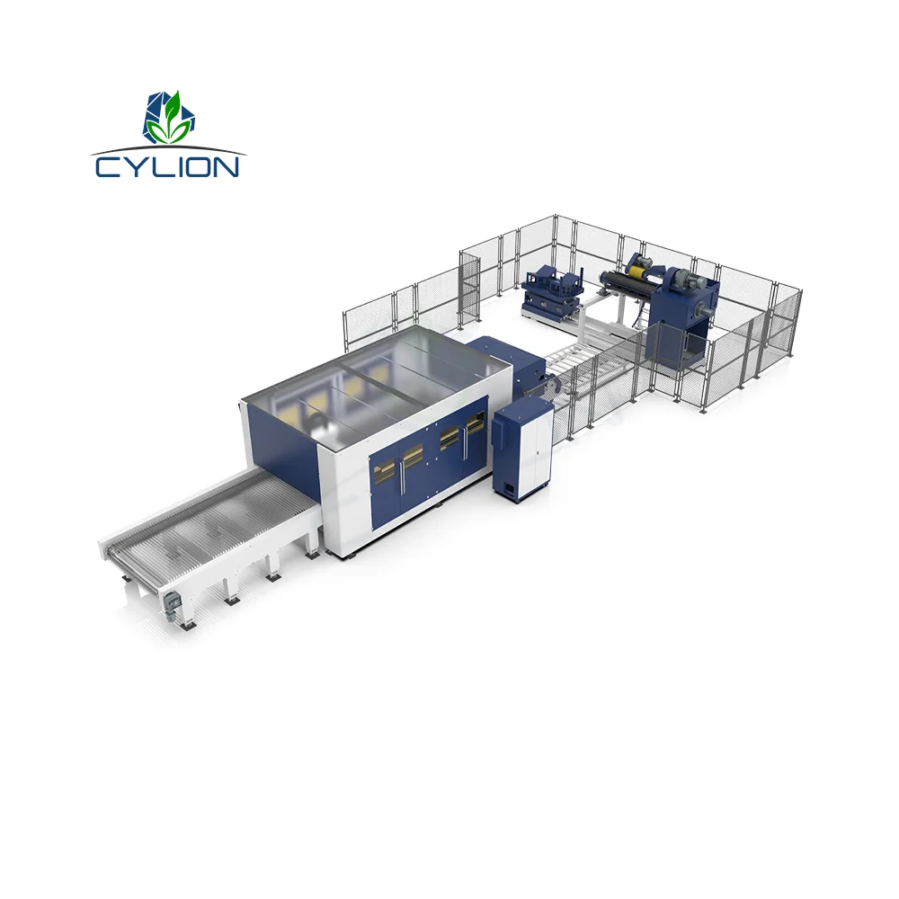 3000W 6000W 10000W Fiber Laser Cutting Machine for Thin 3mm 6mm Steel Coil Production Line