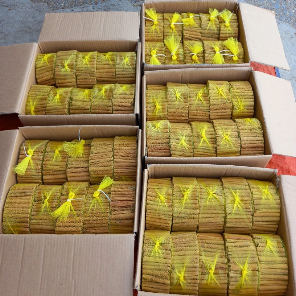 Cigarette Cassia - High Quality Vietnam Cassia Cinnamon Dried Style Customizable - Herbs & Spices at a Good Price