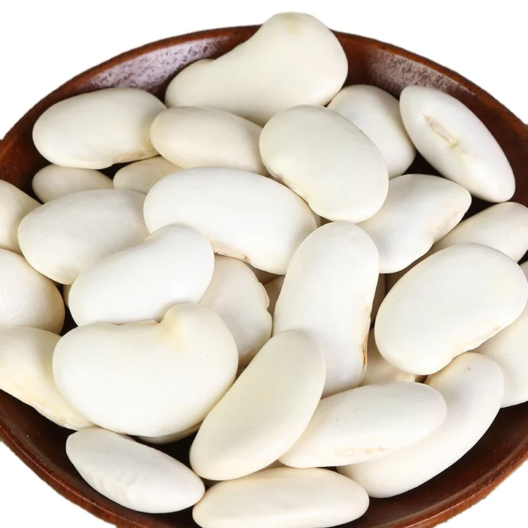 All Season Eatable Big Sized Black Eye Beans As Kidney in Fresh Quality New Price