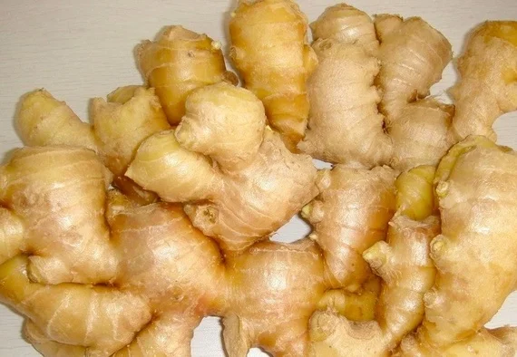 100% Purity Fresh Ginger/Dried Ginger/Ginger Extract Powder Dried Ginger Powder Glass Bottle 200g