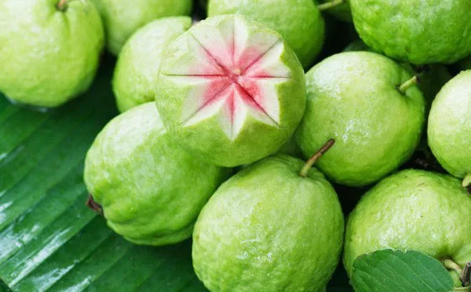 Оптовая продажа поставщик египетского происхождения вкусный вкус свежих фруктов 100% натуральный свежий желтый зеленый гуава по лучшей цене