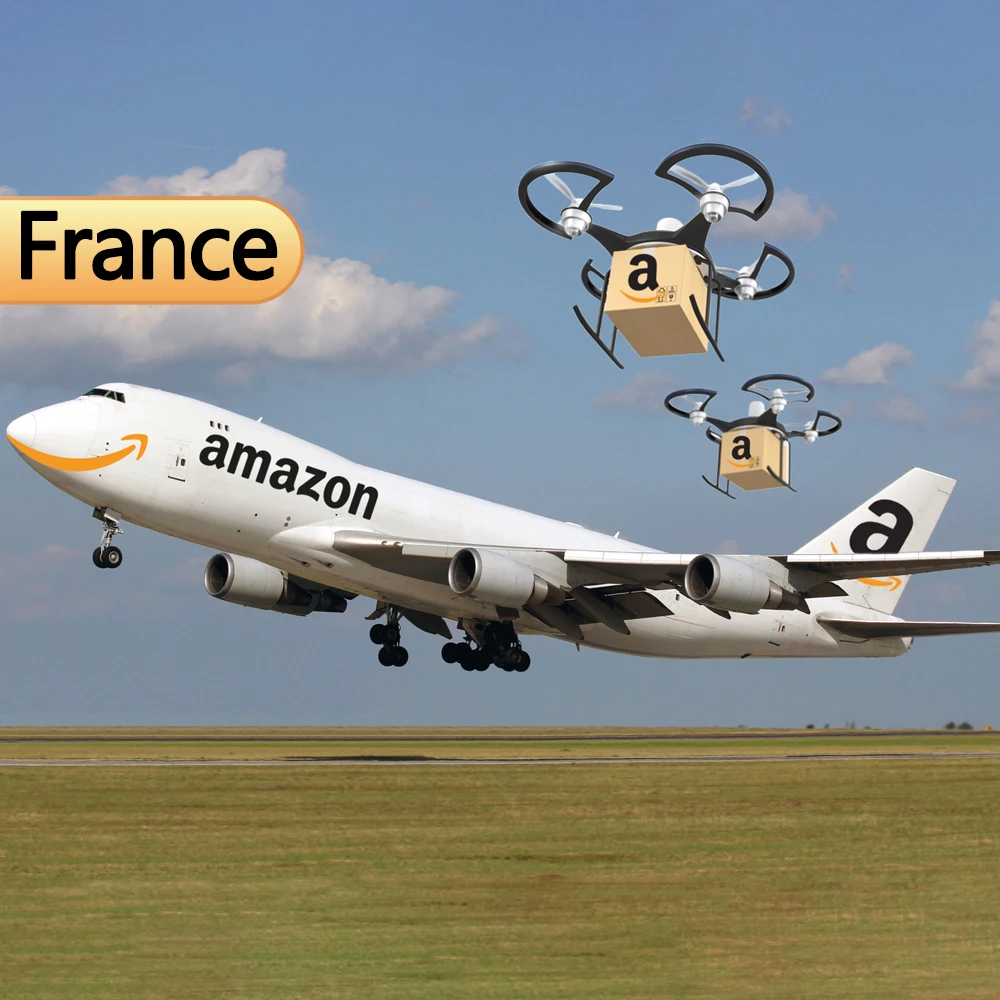 consolidation and door to door international forwarder chine chinese shipping agent companies to France