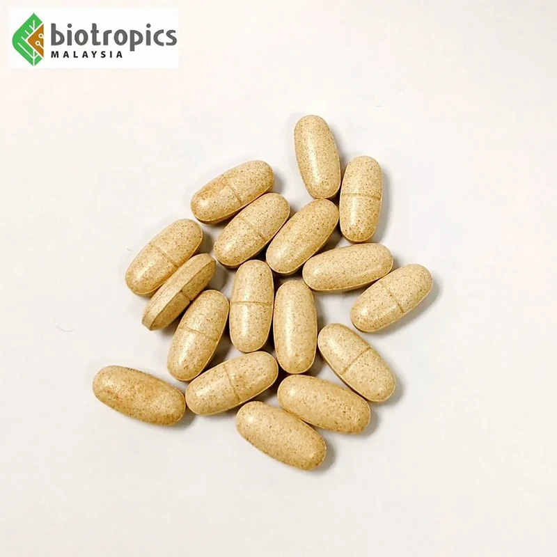 100% Pure Vegetable Organic 200mg Tongkat Ali Extract Capsules Health Energy Supplements for Men Halal Certified