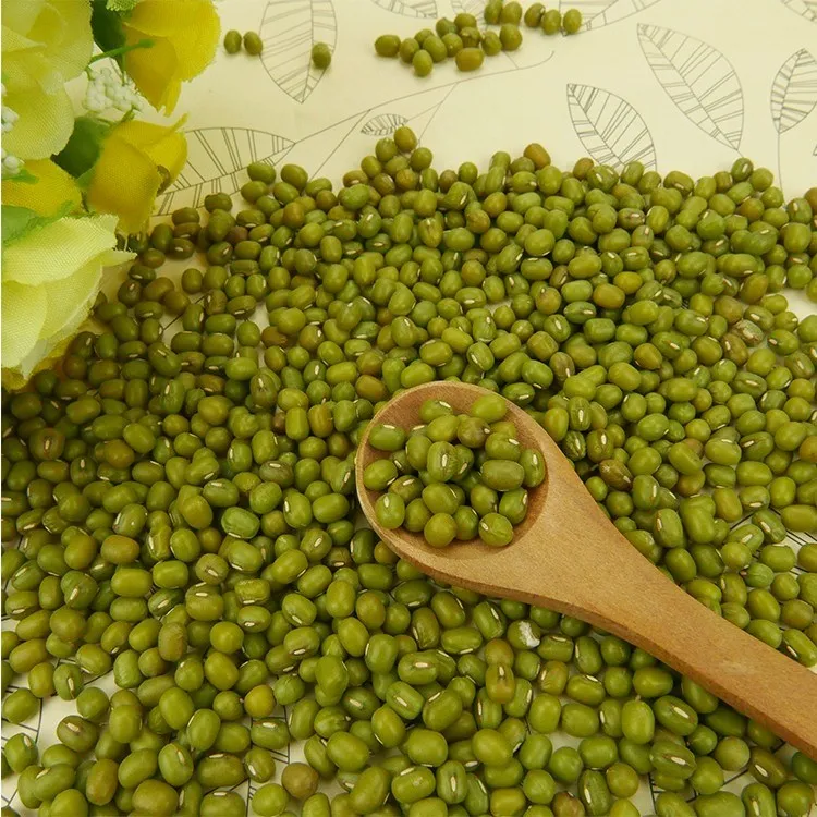 myanmar ethiopia peeled green mung beans for sprouting