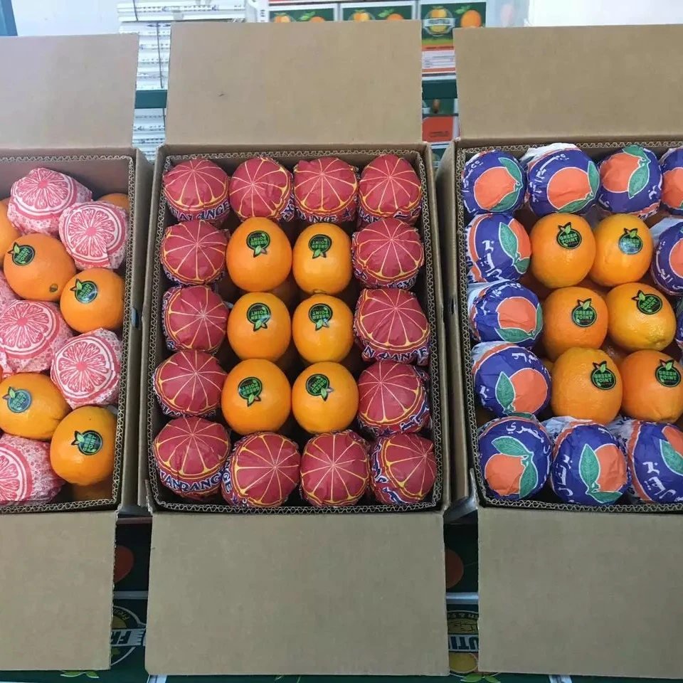 Сейчас 2022 египетские свежие апельсины супер качества Friut (очень конкурентоспособная цена) оптовая