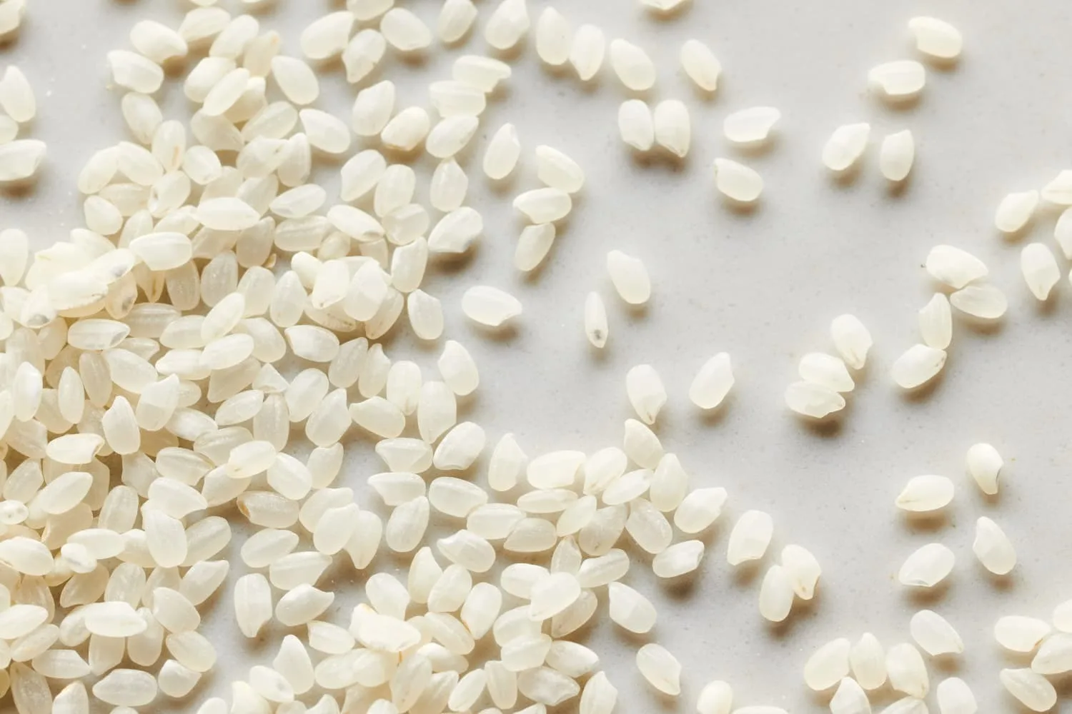 Quality Japonica Rice Soft Delicious Best Price Natural White Japonica Rice Best White round rice fresh