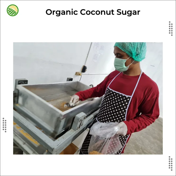 Organic Unrefined Coconut Sugar/ High Quality Natural Coconut Sugar/ Coconut Sugar From Indonesia
