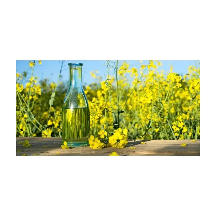 Wholesale cheap price Canola Oil/ Quality Canola Oil/ Buy Canola Oil