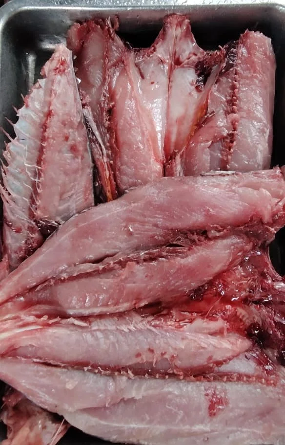 Fresh Frozen Bullet Tuna Whole Round Yellowfin Skipjack varieties Boxed Canned Dried Preserved with Oil Water Cheap Price France