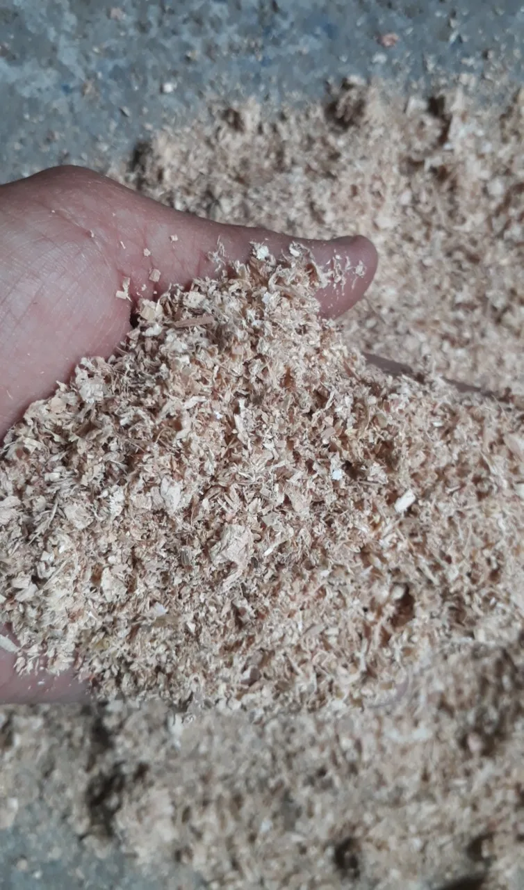 Cheap Wood Sawdust - Wood chips & Wood Shaving for Horses
