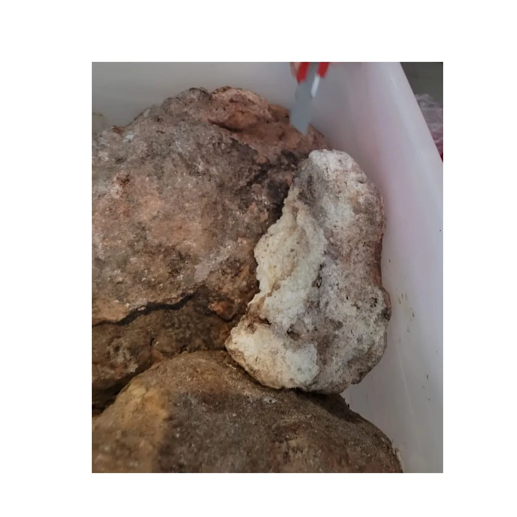 Ambergris Whale price Vomit Floating Gold Ambergris Whale Vomit Wholesale Supplier Ambergris From Indonesia