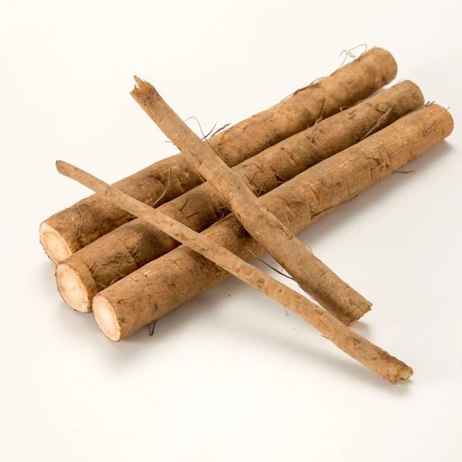New crop of Chinese fresh burdock root wholesale price vacuum pack.