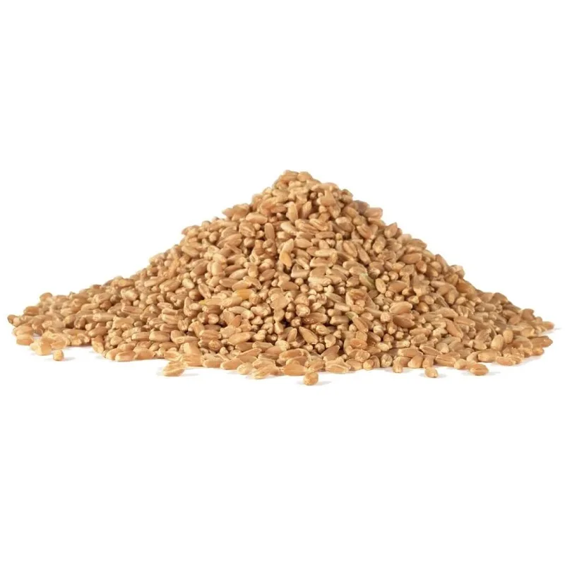 High quality wheat grain in bulk, wheat grain