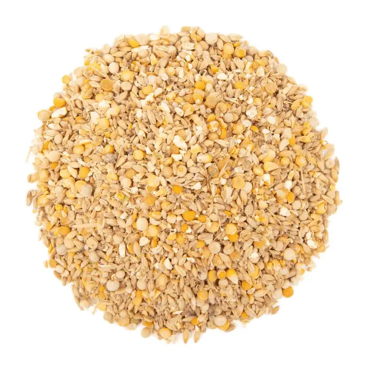 Yellow Corn DDGS with 12% Max Moisture and 50% Max Protein Animal Feed
