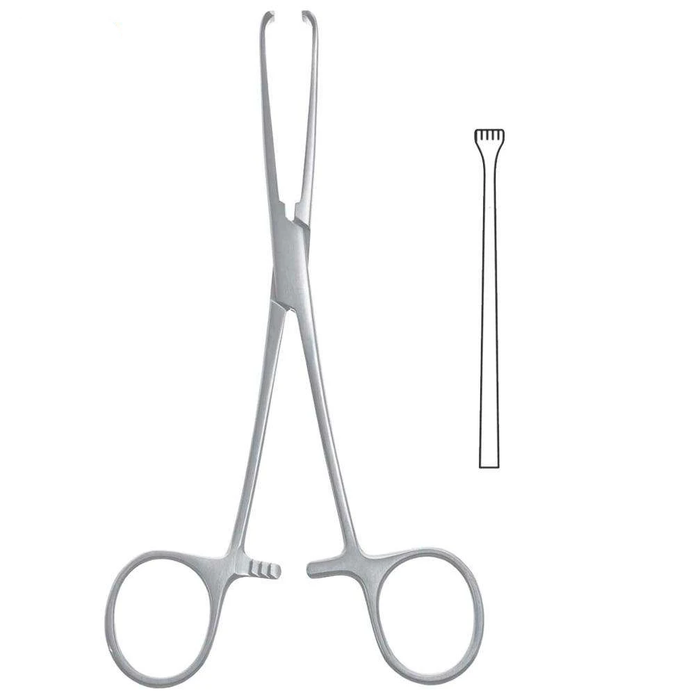 2023 Hot Selling Allis Tissue Forceps Stainless Steel Surgical Instruments in Bulk Quantity for Tissue Grasping