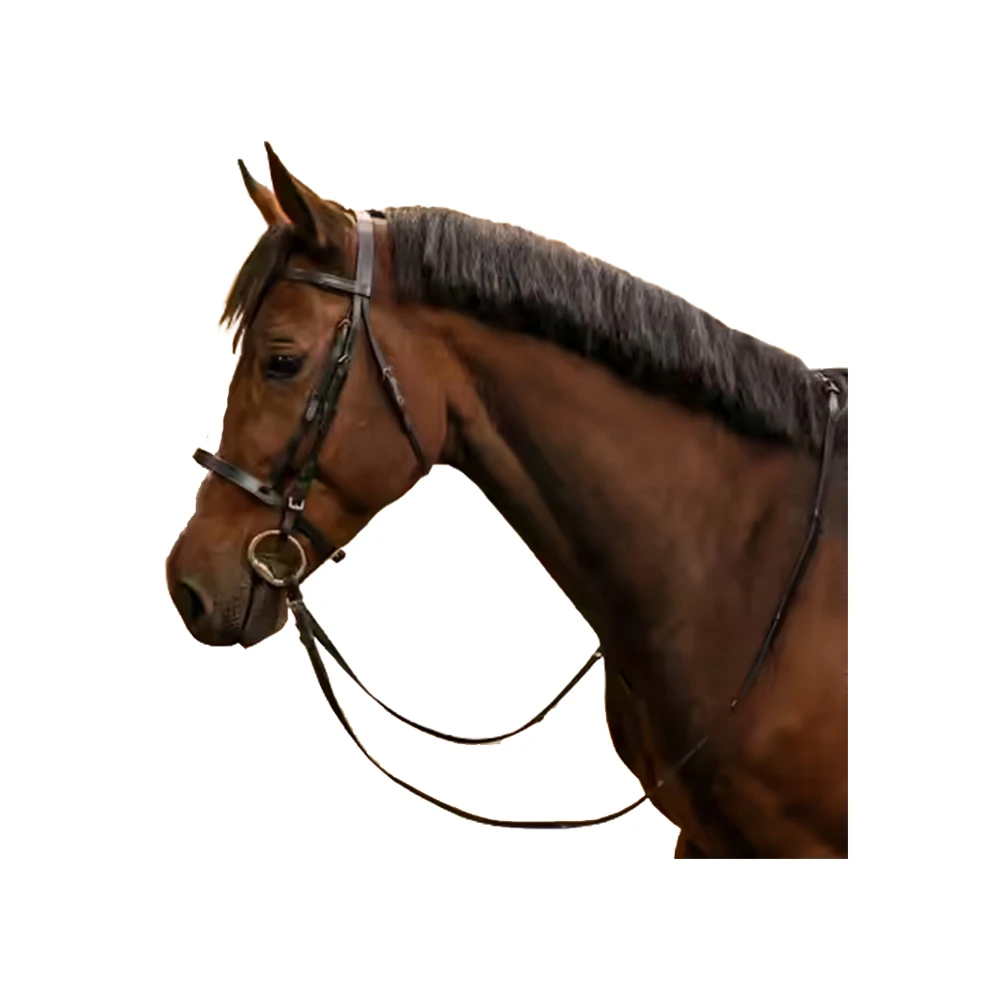 New Arrival Latest Design Horse Training Walking Reins At Best Quality From Indian Manufacture Also Bridle in Leather or PVC