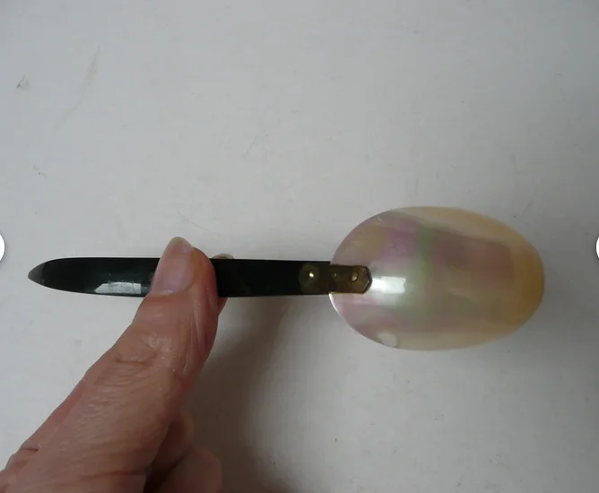 Mother of pearl spoon with buffalo horn handle Caviar spoon 20 cm 100% Indian handicrafts Perfect for serving Premium Caviar