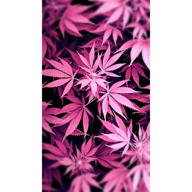 Blue Color Beautiful Floral Eco Friendly 100% Cotton Fabric Breathable By Yard Organic Cotton Digital Print Fabric print fabric