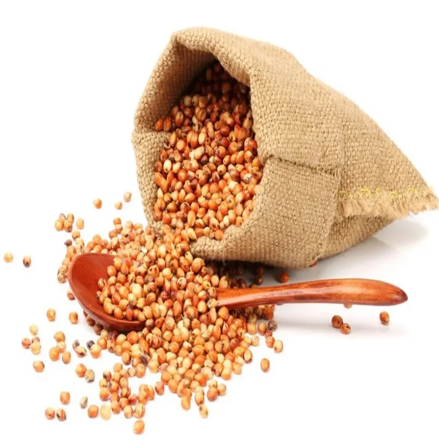 Премиум сорго зерна белого и красного цвета индийский сорго/белый красный высокого качества для продажи