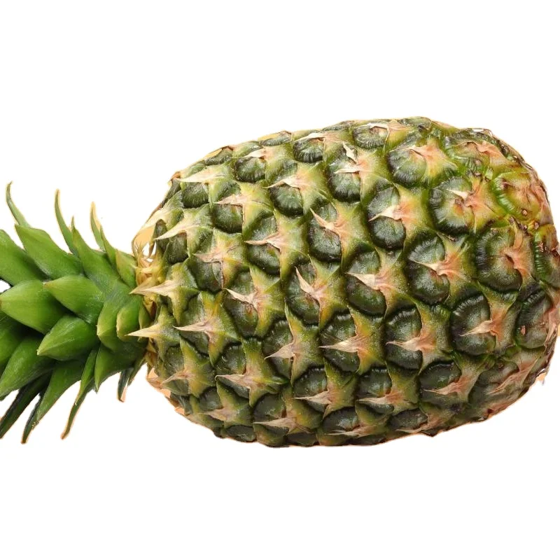 Best Price and High Quality Vietnam Wholesale Yellow FRESH PINEAPPLE FRUIT Akina