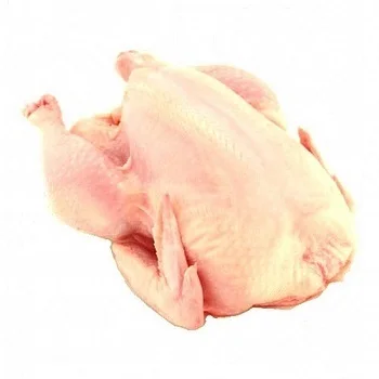 Halal Frozen Whole Chicken For Sale