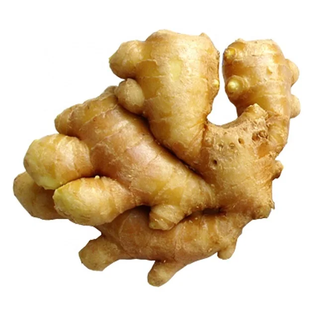 Wholesale Price Fresh Ginger Supplier,Natural Yellow and golden brown ginger for sale