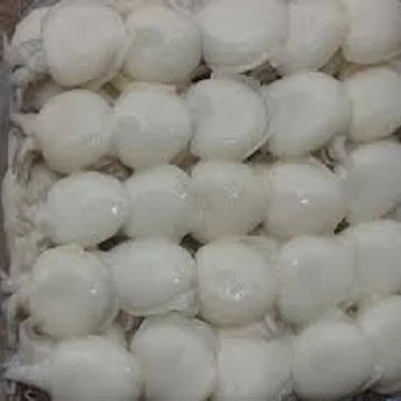 Frozen Cuttlefish IQF Style Natural Frozen Food Frozen Squid & Cuttlefish Ball