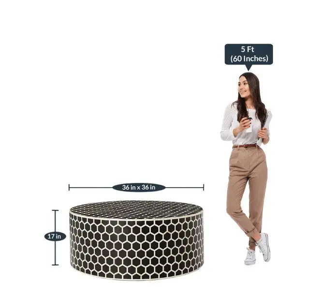 Black Color Modern Home Furnishing Decorative Accessories Mother of Pearl Inlay Furniture Wholesale Bone Inlay Coffee Table