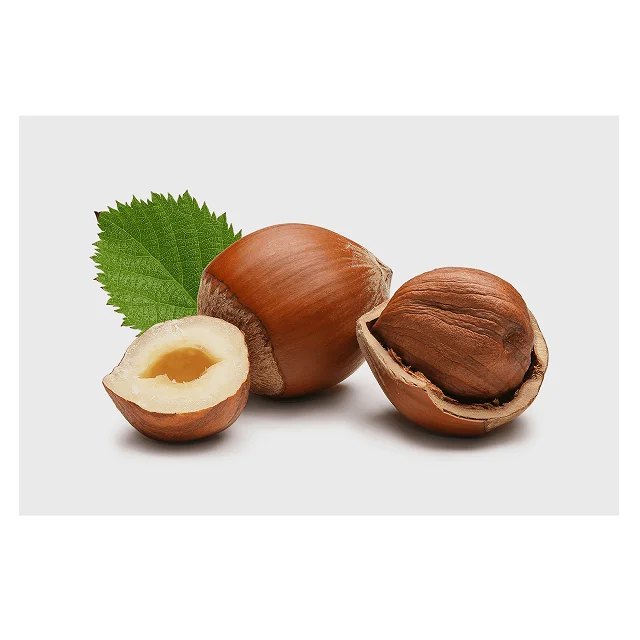 Raw Hazelnut kernel/ Organic Grade Hazelnut kernel /Hazel Nuts for sale