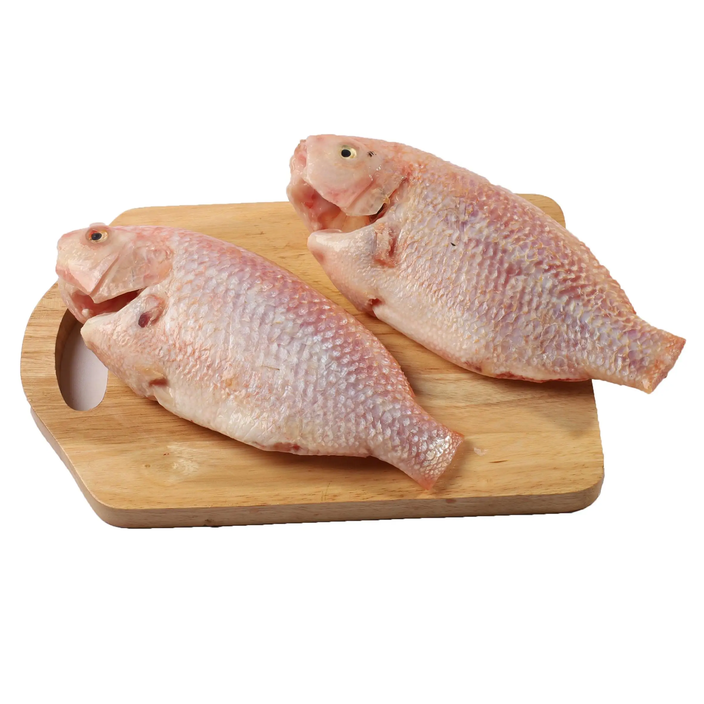 Wholesaler Frozen Fish Fresh Red Tilapia IQF Frozen Export In Bulk Customize Packing In Vacuum Bag For Sale